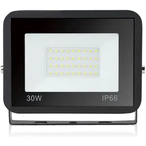 Projecteur Extérieur led 30W Blanc Chaud Jardin Garage Spot éclairage ...Vendu parkaufland
