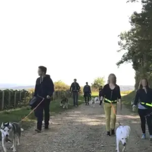 Balade en Cani-Rando près de Troyes