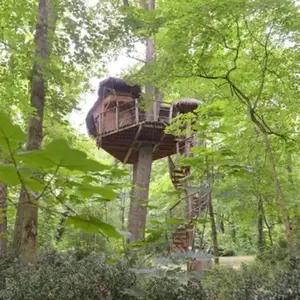 Cabane dans les Arbres à Les Garennes-sur-Loire