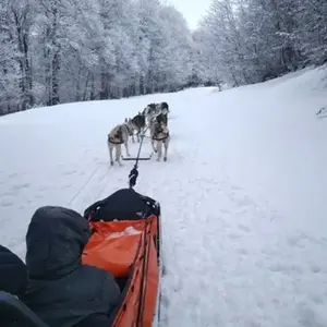 Randonnée en Chiens de Traîneau à Hautacam