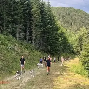 Randonnée en Cani-Rando au Val d'Azun