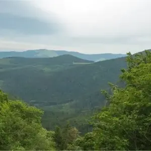 Baptême en ULM Multiaxe à Saint-Dié-des-Vosges
