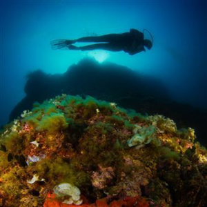 Baptême de Plongée près de Villefranche-sur-Mer pas cher