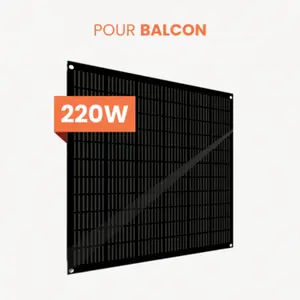 MKSun Panneau solaire Flex 220Wc pas cher