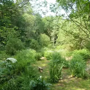Cabane dans les Arbres avec Spa à Nivillac