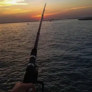 Pêche au Gros à Marseillan