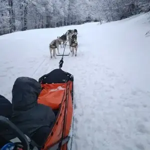 Randonnée en Chiens de Traîneau à Barèges