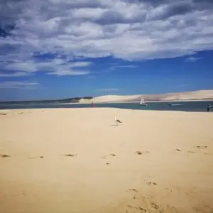 Baptême en Hélicoptère - Survol de l'Île aux Oiseaux