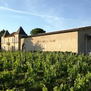 Initiation à l' nologie au Château Pas de L'Âne à Saint-Émilion