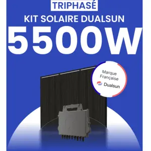 Kit solaire 5500W DualSun Triphasé Micro-onduleurs QT2 pas cher
