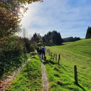 Balade en Cani-Rando près de Thonon-les-Bains