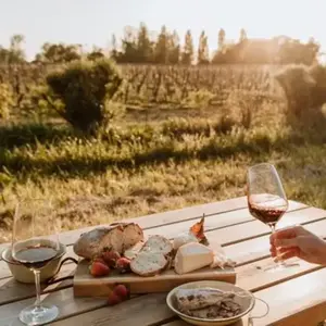 Nuit insolite en Tiny House dans un Vignoble à Saint-Emilion