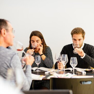 Initiation à l' nologie à Montpellier