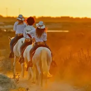 Week-end Gourmand et Balade à Cheval en Camargue pas cher