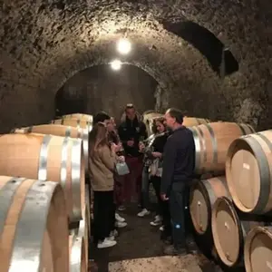 Balade oenologique à Beaune pas cher