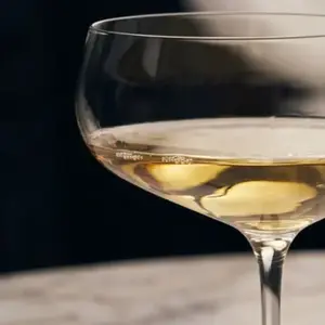 Initiation à l' nologie près de Rennes