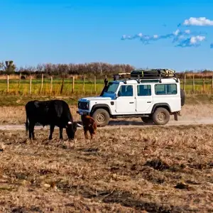 Randonnée Safari en 4x4 à Fontvieille dans les Alpilles