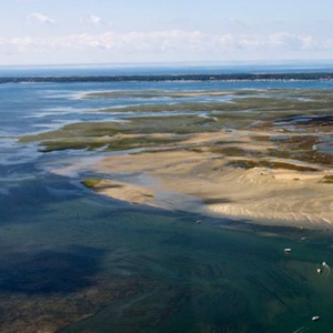 Randonnée Jet Ski vers l'Île aux Oiseaux - Bassin d'Arcachon