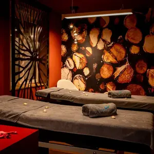 Spa et Massage avec Apéritif à L'Hôtel L'Orée du Bois 3* à Vittel pas cher
