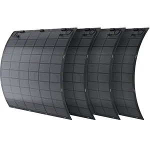 Zendure Panneau Solaire Flexible - Panneaux Solaires Abordables et Dur... pas cher