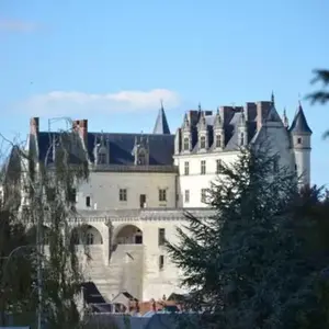 Cabane sur Pilotis avec Spa Privatif à Amboise