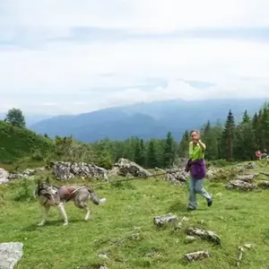Balade en Cani-Rando au Val d'Azun