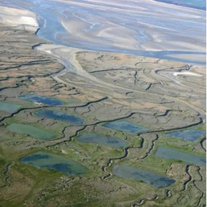 Vol d'Initiation en Planeur près du Tréport - La Baie de Somme