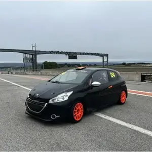 Pilotage Peugeot 208 Racing Cup - Circuit de Lédenon pas cher