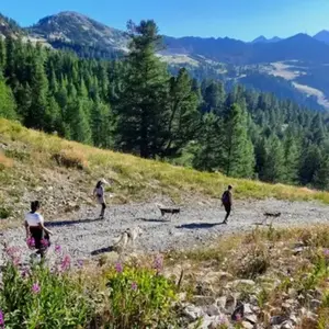 Balade en Cani-Rando près de Valence pas cher