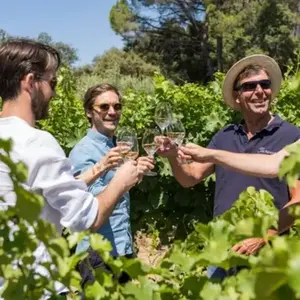 Journée notouristique à Saint Emilion pas cher