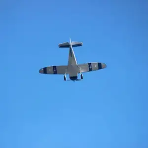 Vol d'Initiation au Pilotage d'Avion près de Sens