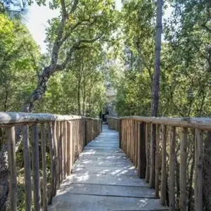 Week-end en amoureux en Cabane dans les Arbres à Porto-Vecchio