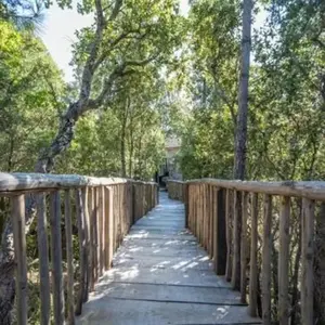 Cabane de Luxe dans les arbres à Porto-Vecchio pas cher