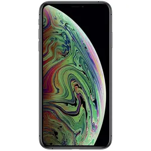 Apple iPhone XS Max 256 Go - Gris Sidéral - Débloqué pas cher