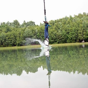 Saut à l'élastique avec touché d'eau à Epinal pas cher