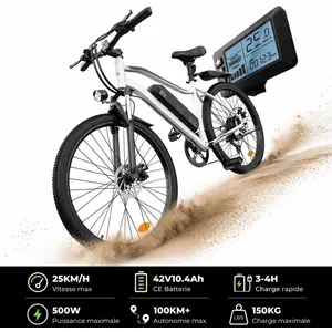 iSinWheel.fr Fat Bike M60 Puissant : Pneus Tout-Terrain, 105km d'Auton... pas cher