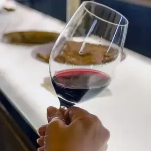 Initiation à l' nologie à Saumur