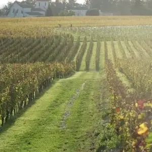 Journée Détente et Soins près de Bordeaux pas cher