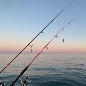 Pêche Sportive près d'Agde pas cher