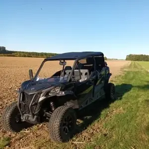 Randonnée en Buggy près d'Orléans pas cher