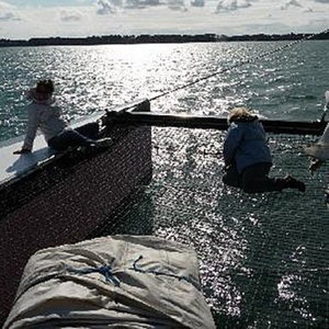 Promenade en catamaran en soirée - îles du Golfe du Morbihan pas cher