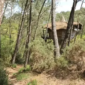 Cabane sur Pilotis avec Spa à Nivillac