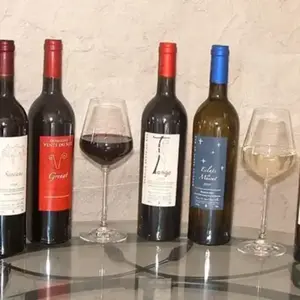 Initiation à l' nologie au Domaine Vents du Sud près de Perpignan
