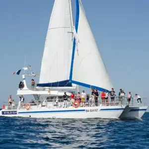Sortie en Mer en Catamaran à la rencontre des Dauphins à Hendaye pas cher