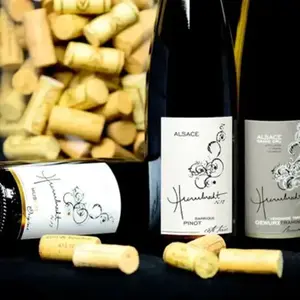 Initiation à l' nologie au Domaine Humbrecht près de Colmar