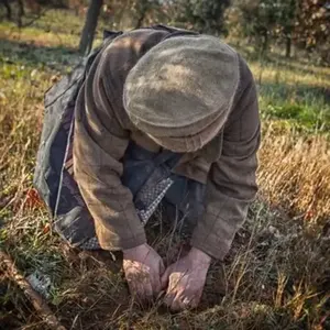 Visite d'une Truffière avec Dégustation à Chinon pas cher