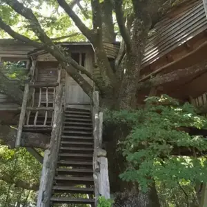 Cabane dans les Arbres à Sexcles pas cher