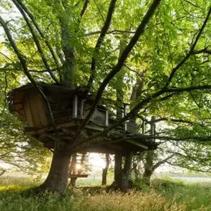 Cabane Familiale dans les Arbres avec Spa près de Carnac