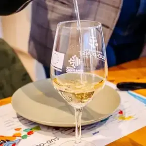 Initiation à l' nologie à Toulouse Blagnac pas cher