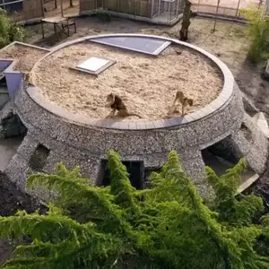 Dormir avec les Lions au Zoo de Bordeaux-Pessac